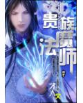贵族魔法师