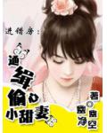 进错房:通缉偷心小甜妻