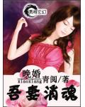 晚婚——吾妻銷魂