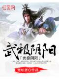 武极阴阳