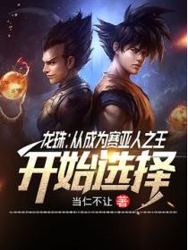 龙珠:从成为赛亚人之王开始选择
