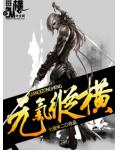 元气纵横