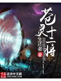 苍灵十二将