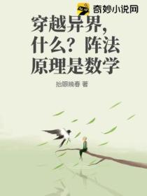 穿越异界,什么?阵法原理是数学