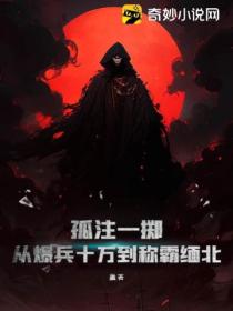 孤注一掷:从爆兵十万到称霸缅北