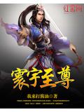 寰宇至尊