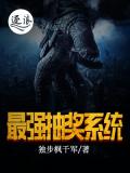 最强抽奖系统