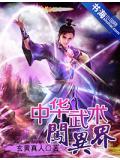 中华武术闯异界
