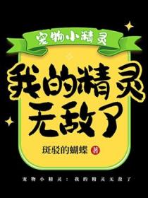 宠物小精灵:我的精灵无敌了