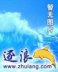 踏天帝尊