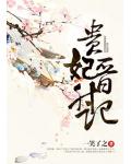 贵妃晋升记