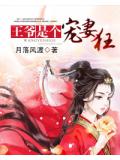 王爷是个宠妻狂