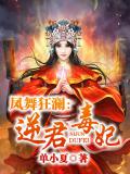 凤舞狂澜:逆君毒妃