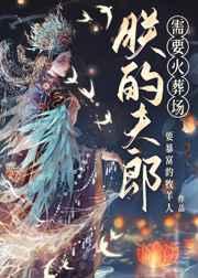 小夫郎需要火葬场