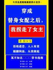 穿成替身女配之后,我拐走了女主