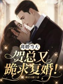 离婚当天,贺总又跪求复婚!