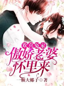 欢喜冤家：傲娇老婆怀里来