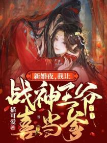 新婚夜,我让战神王爷喜当爹