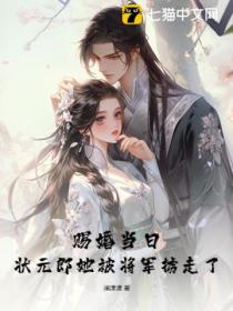 赐婚当日,状元郎她被将军掳走了