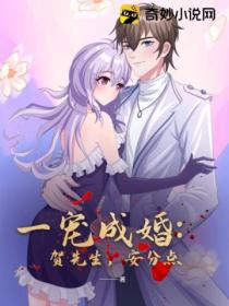 一宠成婚:贺先生,安分点