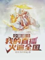 全能道士:我的直播火遍全国