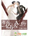 邂逅亿万大人物