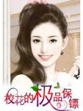 校花的极品保镖