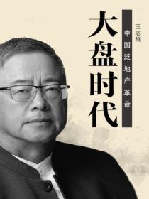 大盘时代:中国泛地产革命