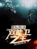 篮坛传奇:双能卫之王