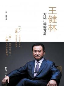 王健林:万达广场的背后