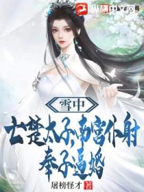 雪中:亡楚太子,南宫仆射奉子逼婚