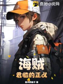 海贼:君临的正义