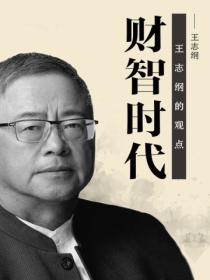 财智时代:王志纲的观点