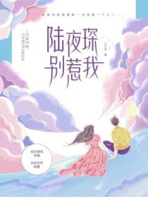 陆夜琛,别惹我