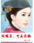 坏娘子:七夫之祸