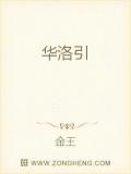 华洛引