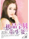妙手偷心:极品宝贝重生妻