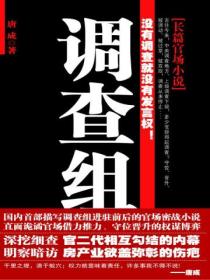 调查组