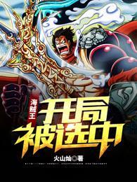 海贼王:开局被选中