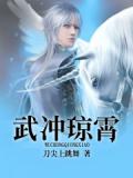 武冲琼霄