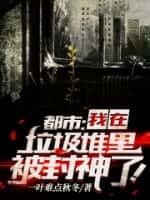 都市:我在垃圾堆里被封神了!