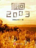 重回2003