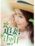 追妻计中计