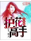 美女的护花高手