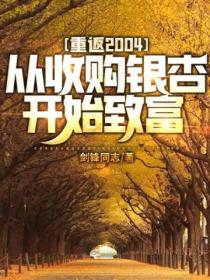 重返2004:从收购银杏开始致富