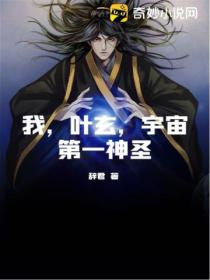 我,叶玄,宇宙第一神圣