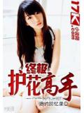 终极护花高手
