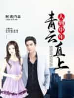 人到中年:青云直上