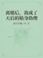 离婚后,我成了天后的贴身助理