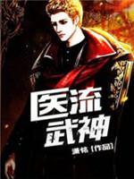 医流武神